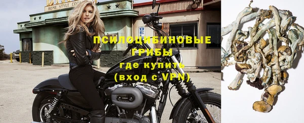 spice Горно-Алтайск