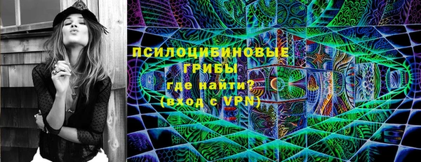 дмт Горняк