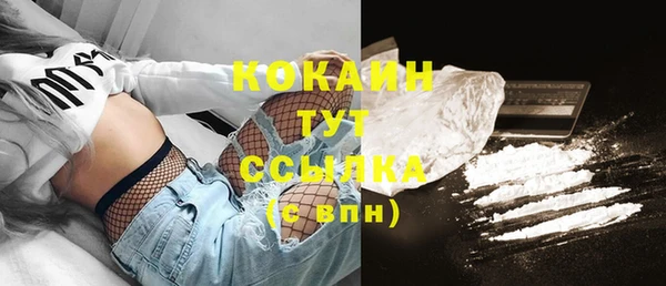 дмт Горняк